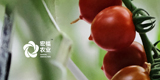 www.hth.com